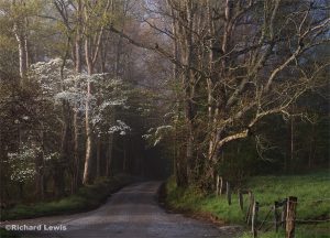 Sparks Lane in Cades Cove Smokey Mountain National Park