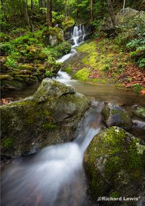 Waterfall by Tremont Creek