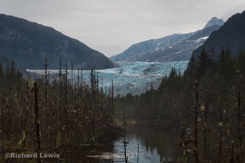 Alaska Swamp by Richard Lewis 2014