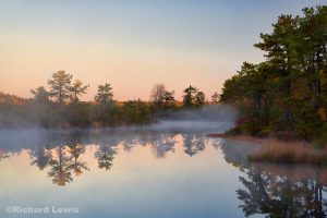 Morning Mist in Warren Grove by Richard Lewis