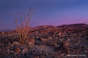 Early Morning in the Anzo Borrego Badlands by Richard Lewis