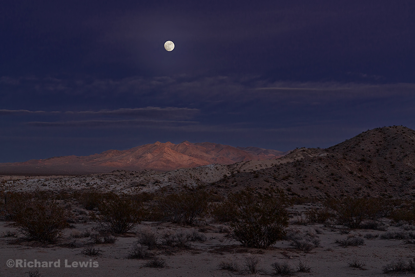 Lunar Glow in the Desert by Richard Lewis