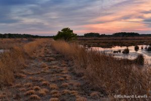 Sunset In the Bogs by Richard Lewis