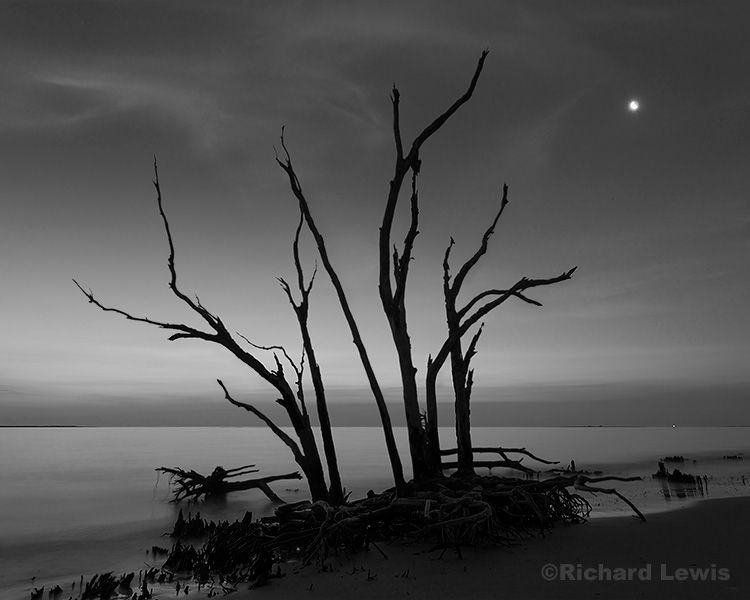 Big Talbot Island in the Twilight by Richard Lewis