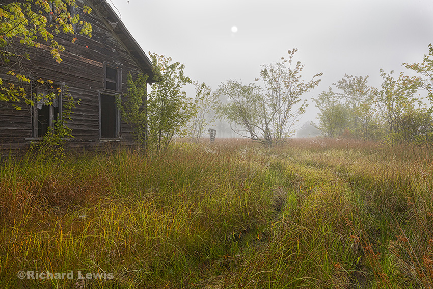 Back Of The Old Cabin by Richard Lewis