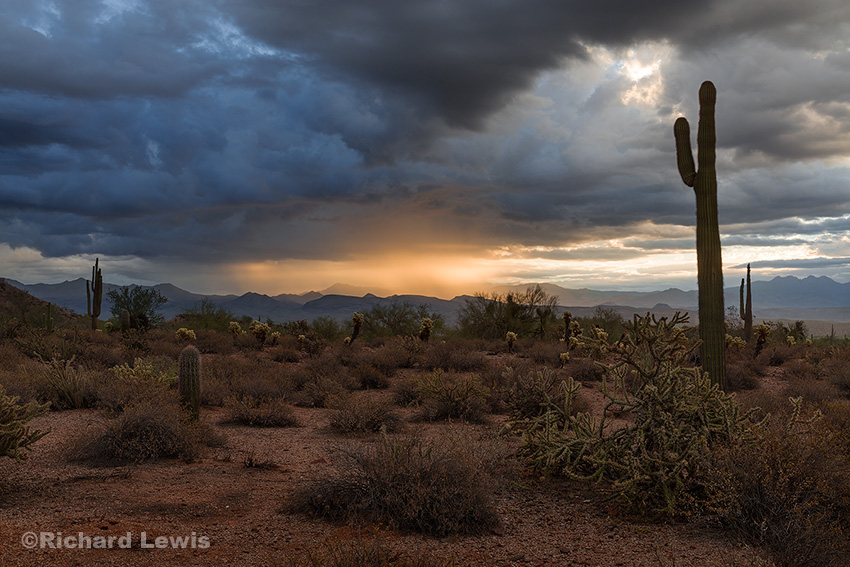Rainy Sunrise in Arizona by Richard Lewis McDowell Mountain Park