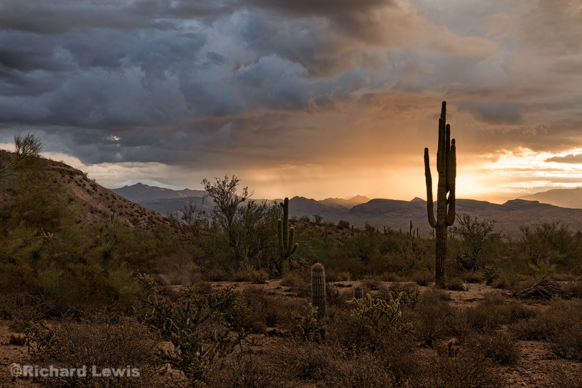 Rainy Sunrise in Arizona by Richard Lewis McDowell Mountain Park