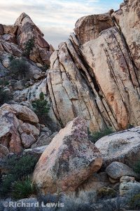 Joshua Tree Rock Formation 1 by Richard Lewis