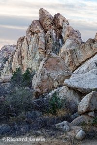 Joshua Tree Rock Formation 2 by Richard Lewis