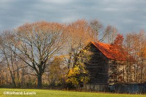 Late Fall in Burlington New Jersey by Richard Lewis