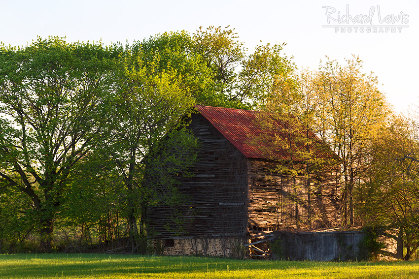 Burlington New Jersey Barn In Spring by Richard Lewis