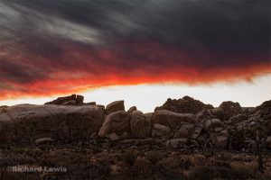 Evening Fire in the Wonderland of Rocks Joshua Tree National Park
