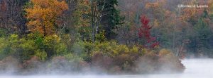 Pennsylvania-_Fall-Colors-On-Mokomo-Lake-WEP