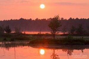 Firey Mist On The Lake in the Franklin Parker Preserve NJ Pinelands by Richard Lewis