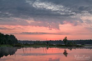 Before The Dawn inthe Pinelands by Richard Lewis