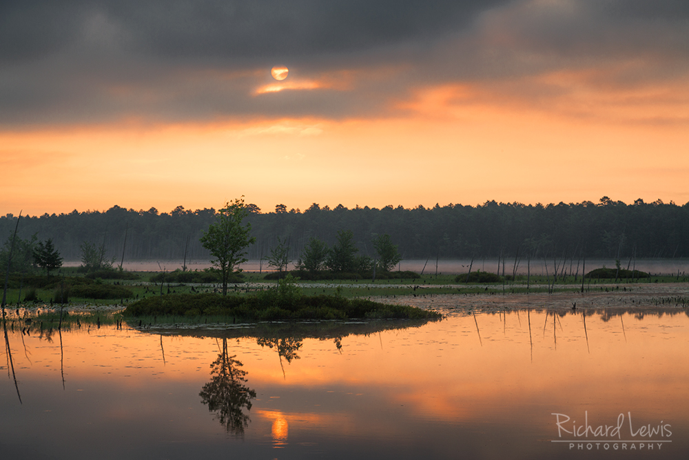 Storm Front After Dawn in the Pine Barrens by Richard Lewis