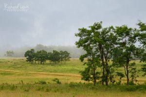 Big Meadows in Shenandoah National ParkOn A Windy Morning by Richard Lewis