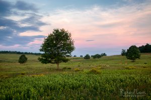 Quiet Dawn in Big Meadows Shenandoah National Park by Richard Lewis'