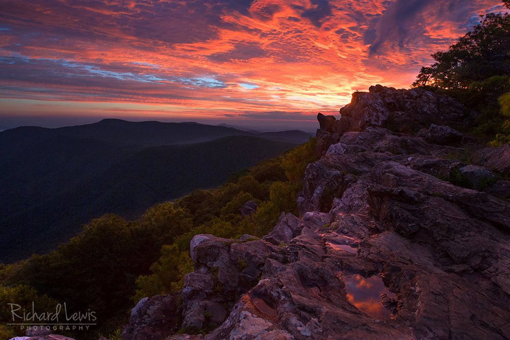 Dawn in Shenandoah National Park by Richard Lewis