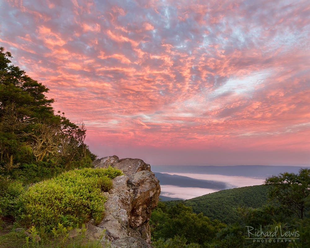 Dawn in Shenandoah National Park by Richard Lewis