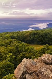 An Evening View in Shenandoah National Park by Richard Lewis