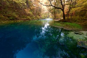 Blue Springs in Missouri by Richard Lewis