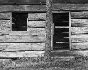 A Cabin Abstract by Richard Lewis
