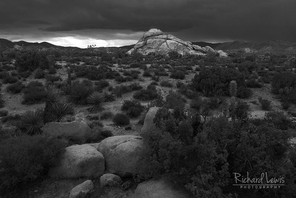 Desert Storm in Joshua Tree by Richard Lewis 