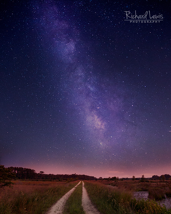 Milky Way In The New Jersey Pine Barrens