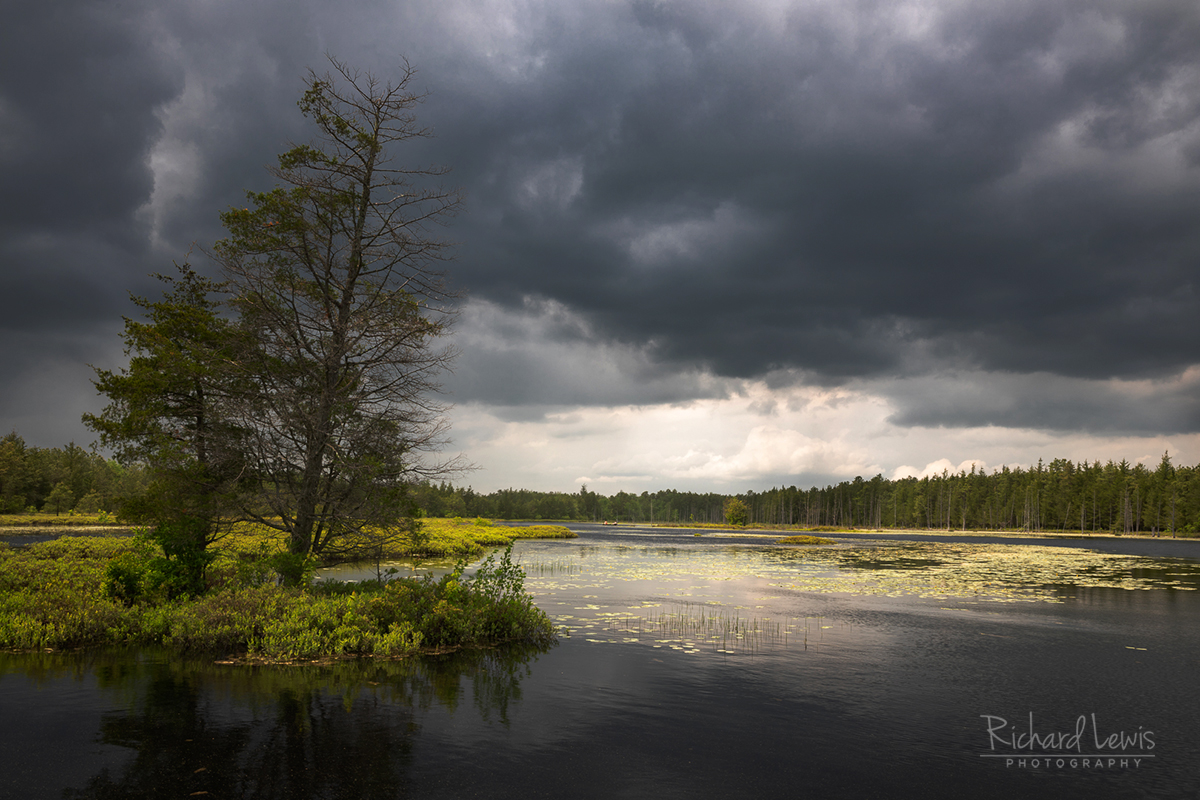 Storm Light In The Pine Barrens New Jersey