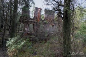Overgrown Ruin