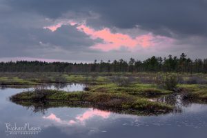 Pine Barrens Afterglow