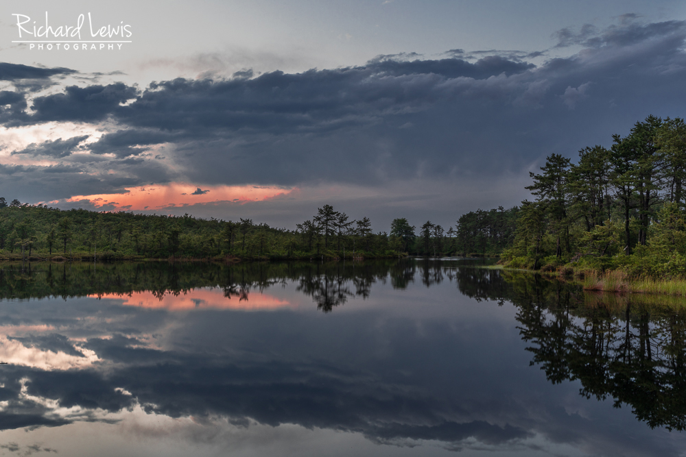 Twilight Comes New Jersey Pinelands