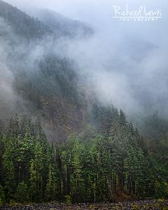 Fog On The Nisqually River Mt Rainier