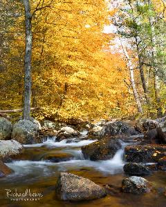 Fall On Stony Brook Creek Harriman State Park