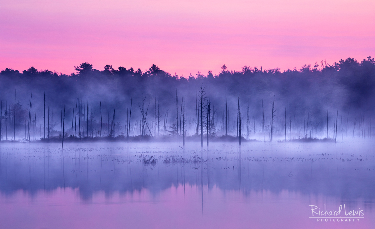 Pink October Dawn