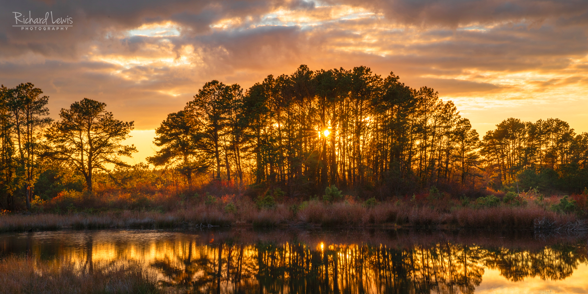 Sunrise In The New Jersey Pinelands - Richard Lewis Photography