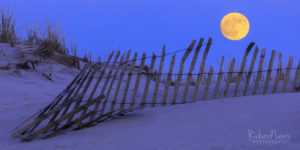 Beach Moonrise 1