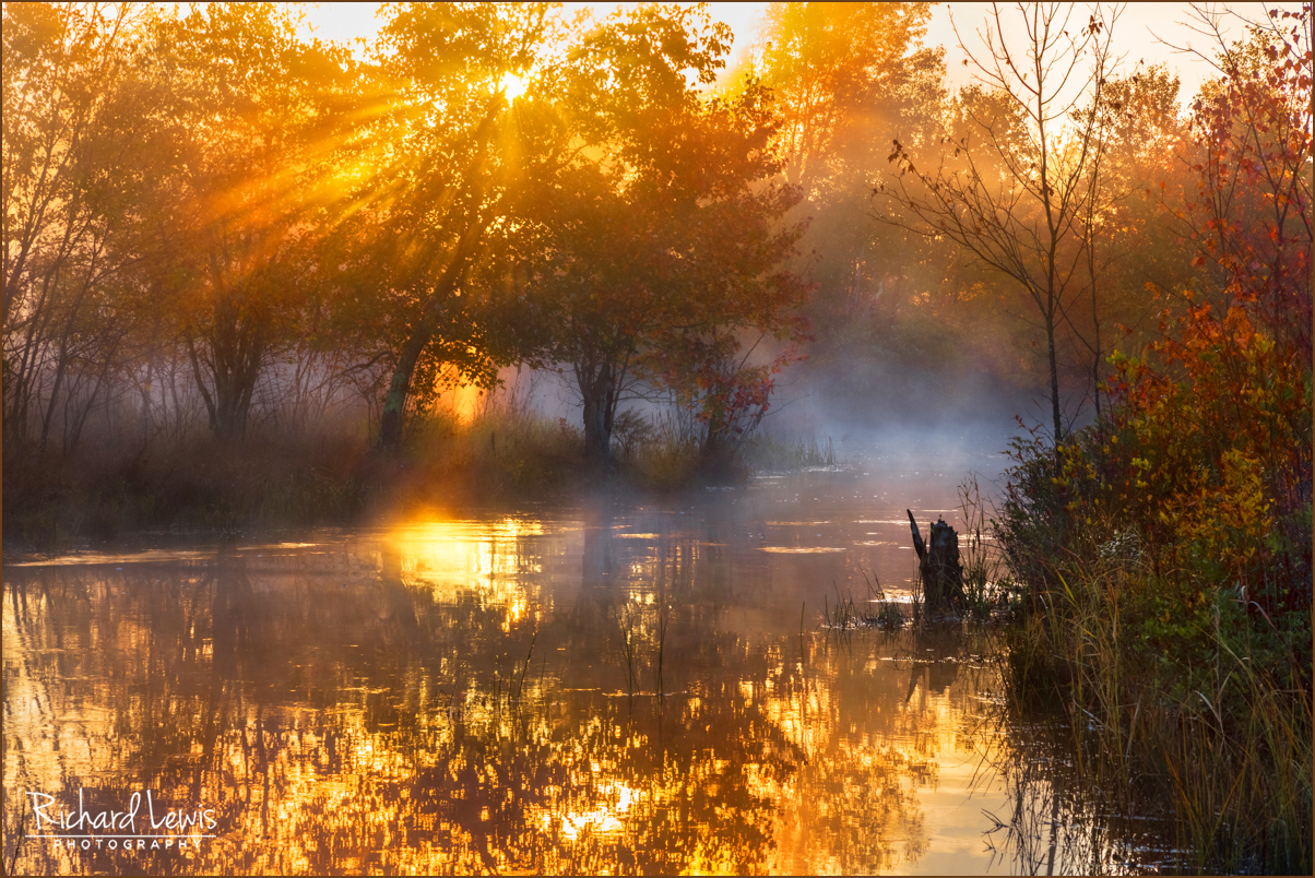 Sunrise In The New Jersey Pinelands - Richard Lewis Photography