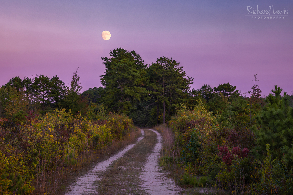 Moon over the Pine Barrens